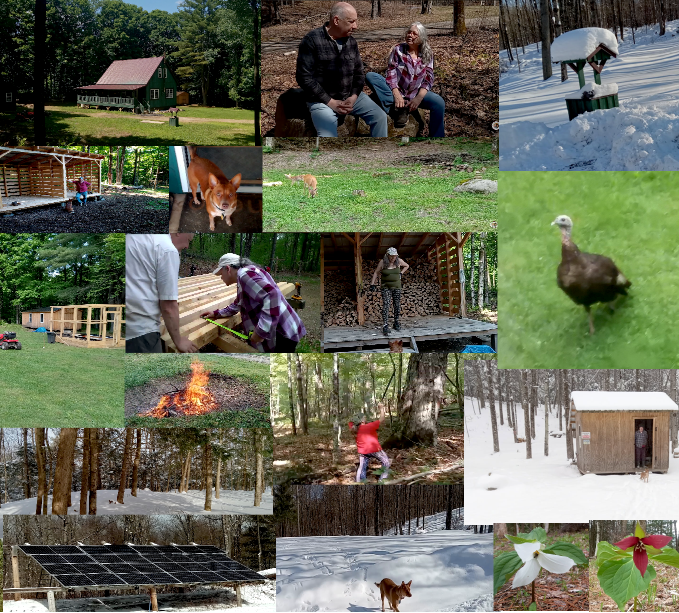 What We Wish We'd Known Before Buying 30 Acres